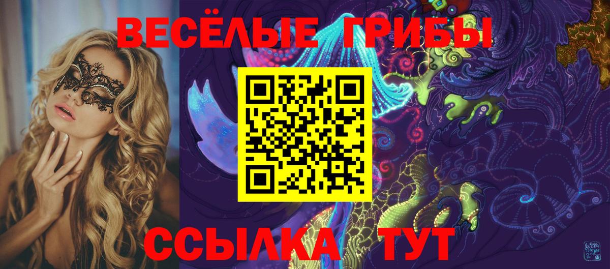 Псилоцибиновые грибы MAGIC MUSHROOMS  Вход с VPN  Аксай  Галлюциногенные грибы мухоморы 