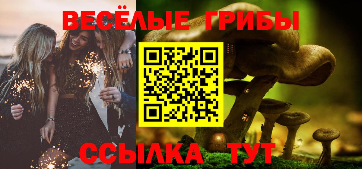Галлюциногенные грибы прущие грибы Аксай
